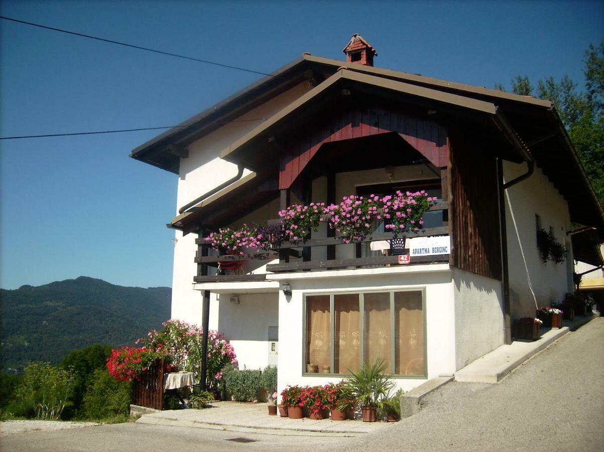 Apartmaji Berginc Kobarid Luaran gambar